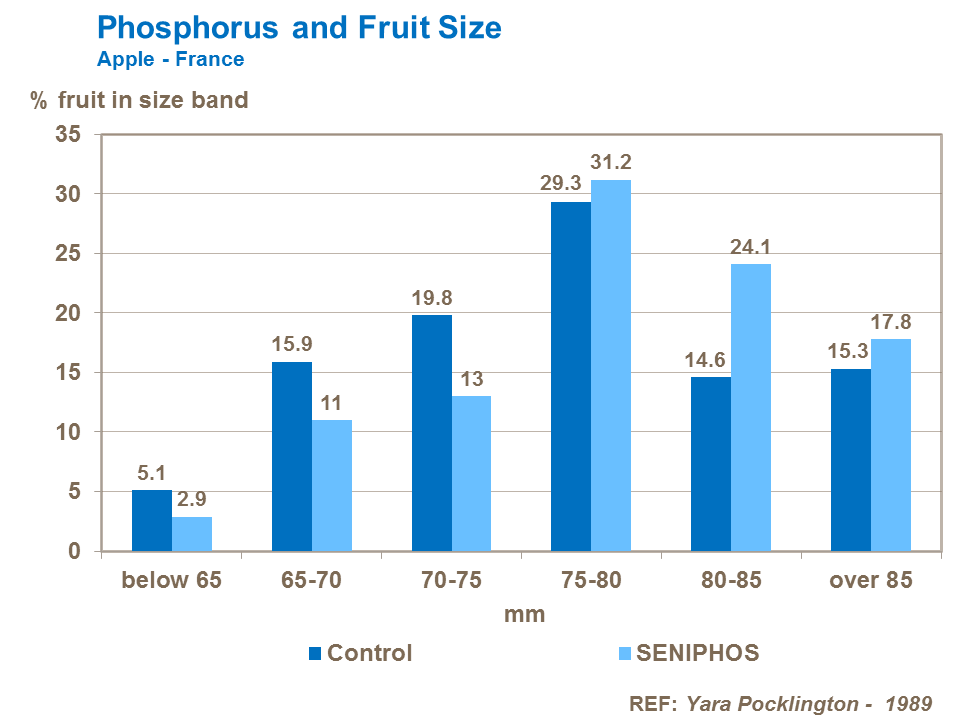 Phosphorus and apple Fruit Size