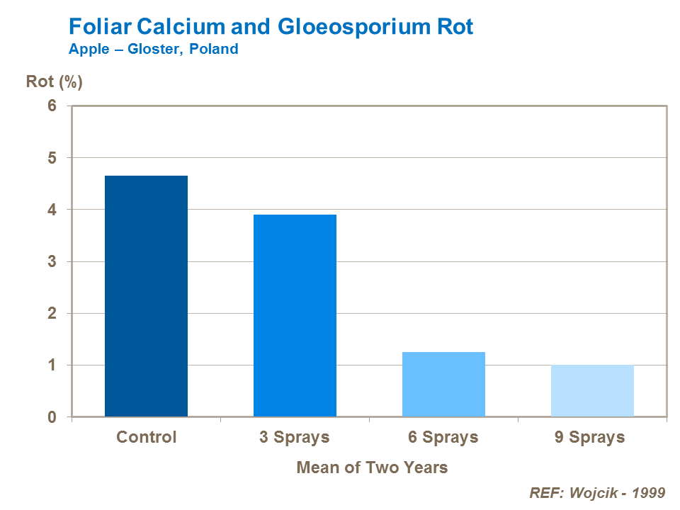 Foliar Calcium and Gloeosporium Rot in apples