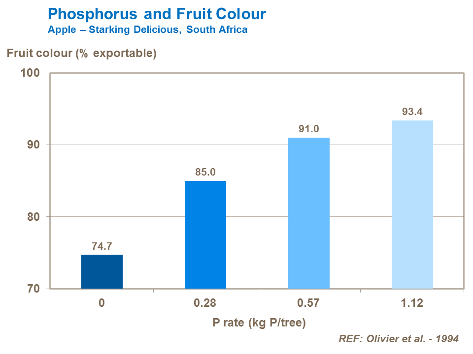 Phosphorus and Fruit Color