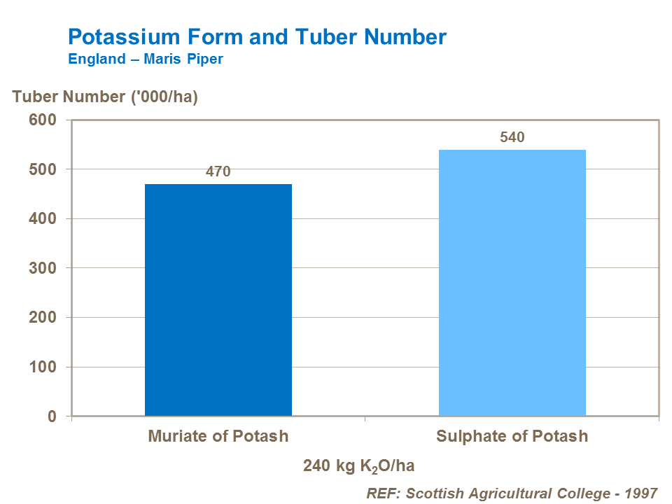 Tuber Count How to influence potato tuber numbers – ROS FARM