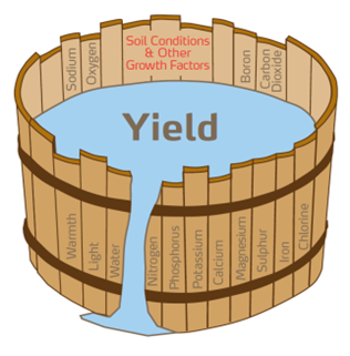A deficiency of any single nutrient is enough to limit yield Liebig's Barrel