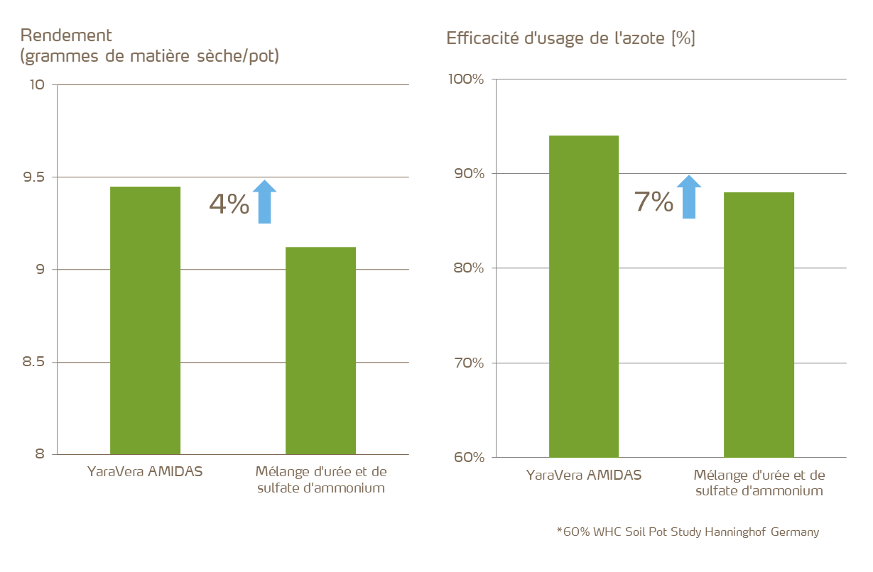 Amélioration du rendement et de l'efficacité d’usage de l'azote