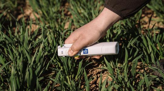 N-Tester on a crop field