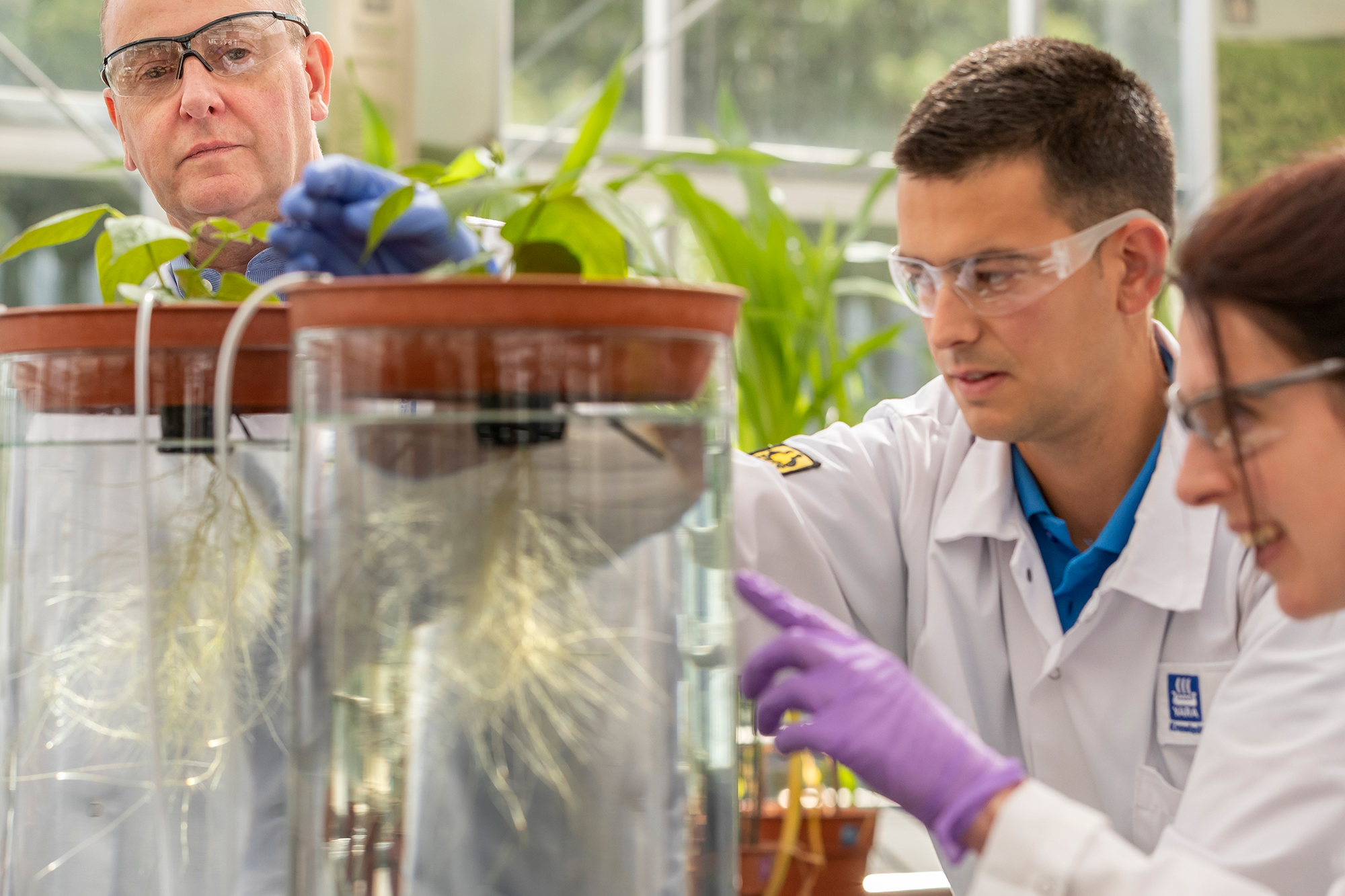 YaraVita Pock factory.jpg