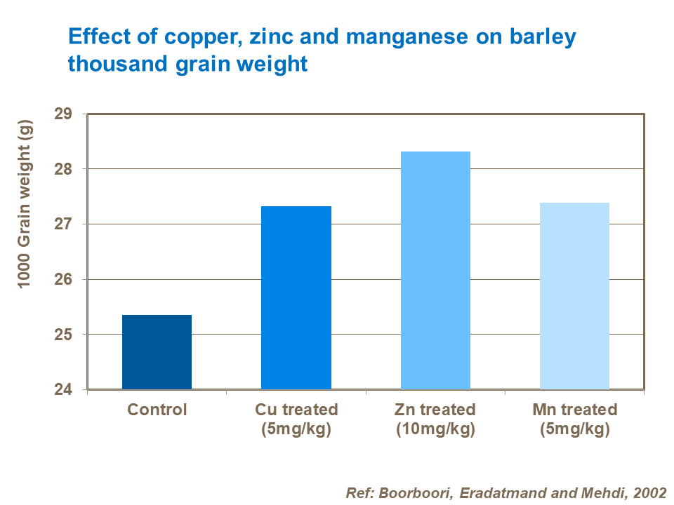 Effect of copper, zinc and manganese on barley thousand grain weight