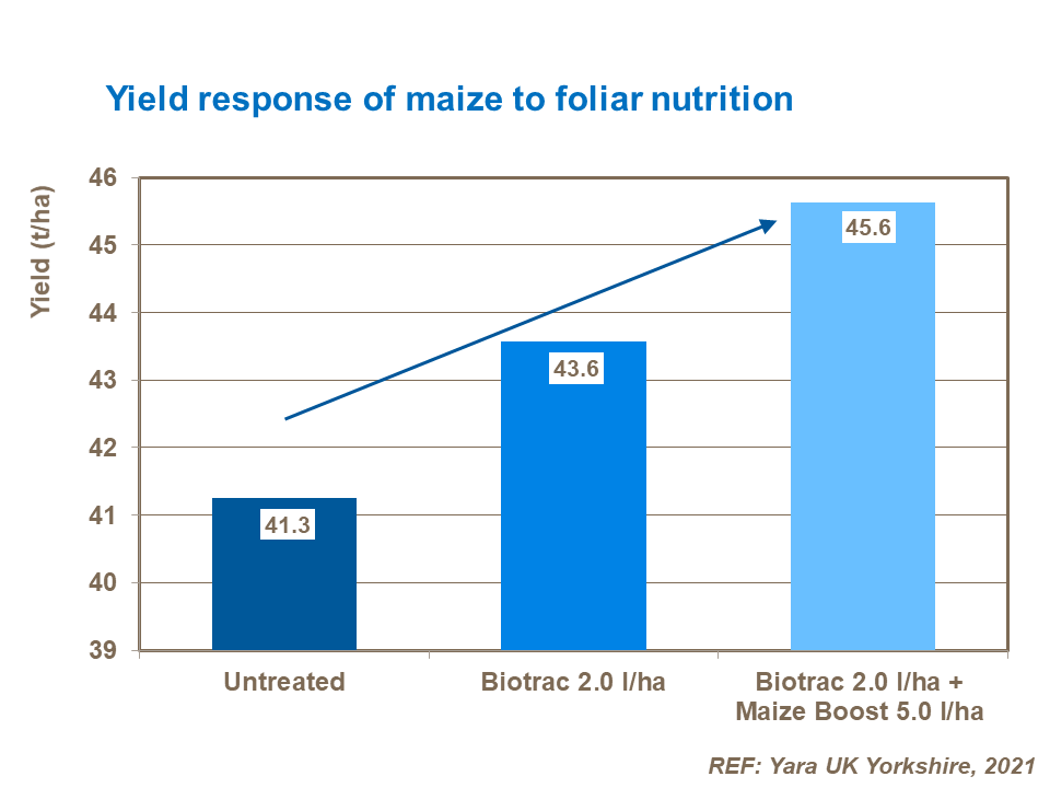 Yield response of maize to foliar nutrition