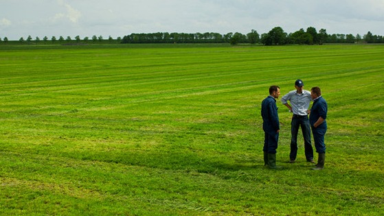 Benefit from applying lime to grassland