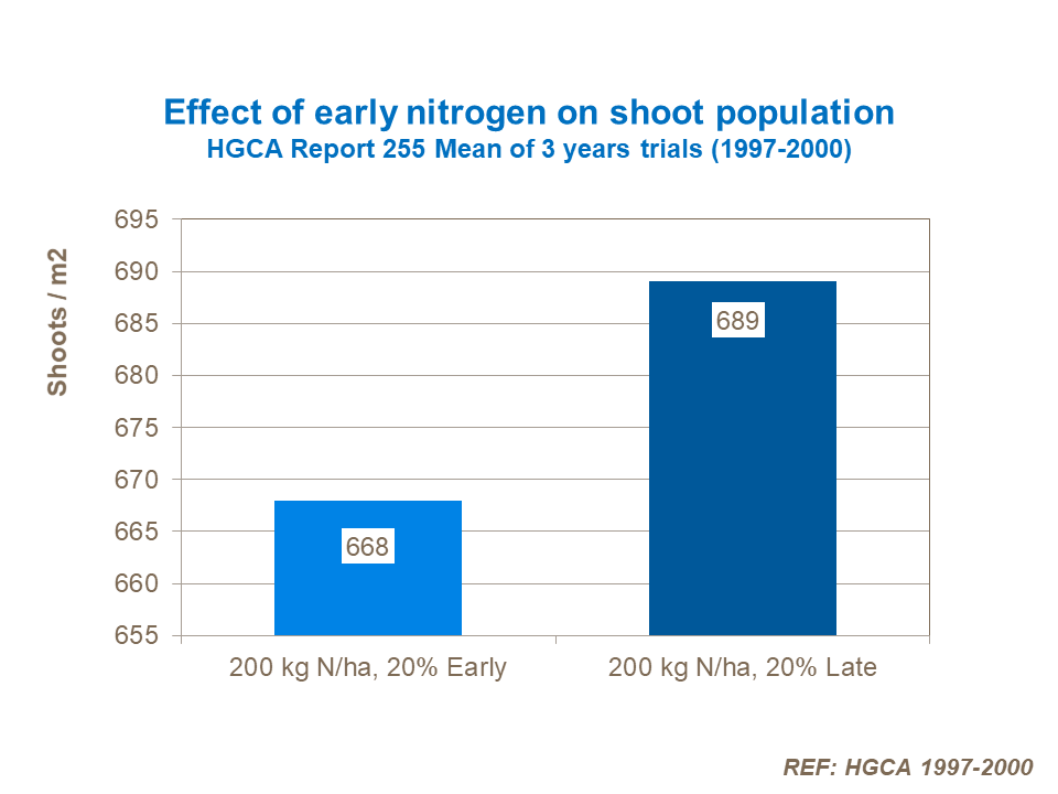 Effect of early nitrogen on shoot population.png