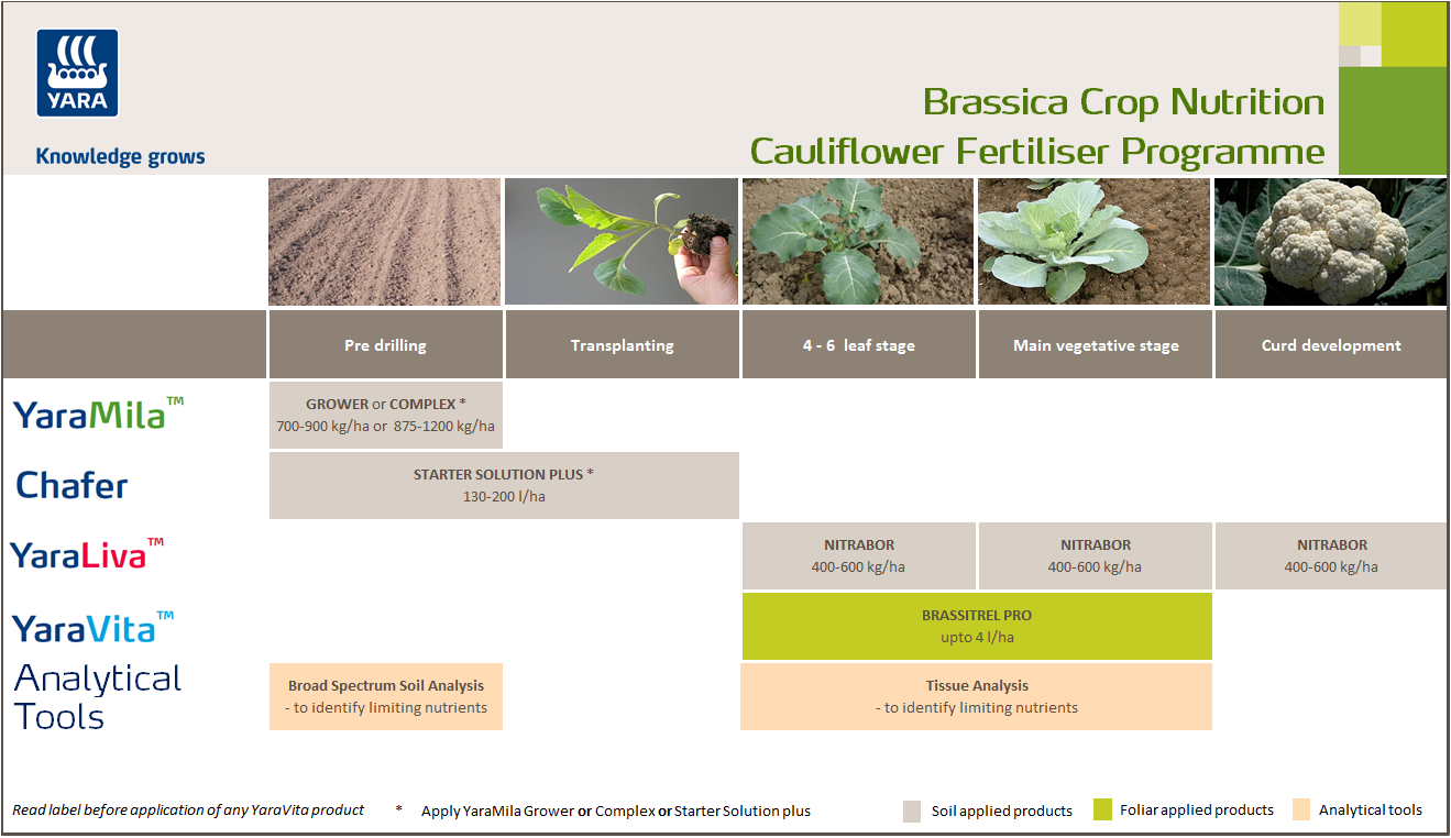 Cauliflower fertiliser programme