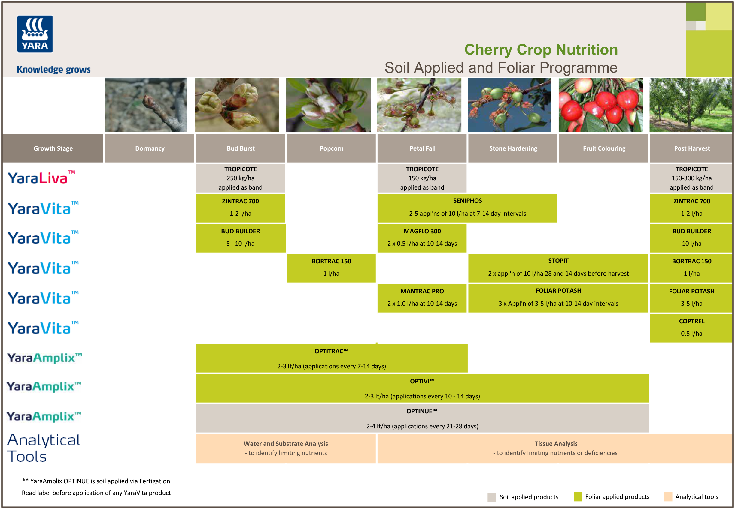 Yara's Cherry Crop Nutrition Programme