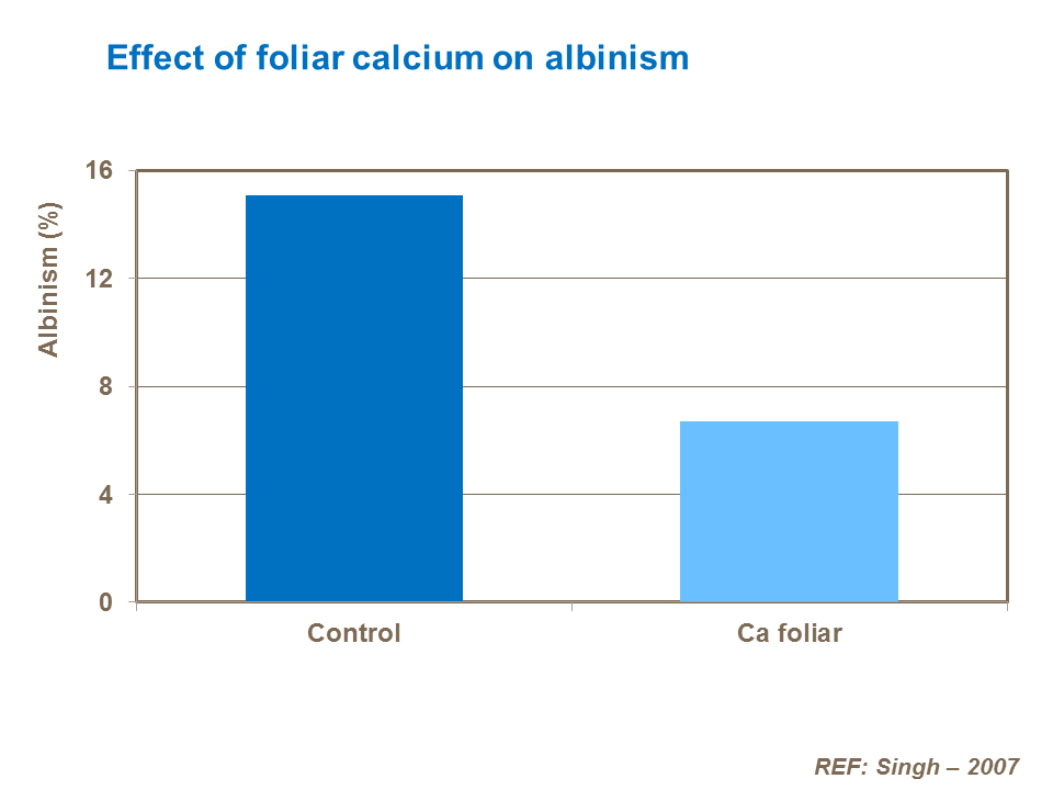 Effect of foliar calcium on fruit firmness and disease incidence