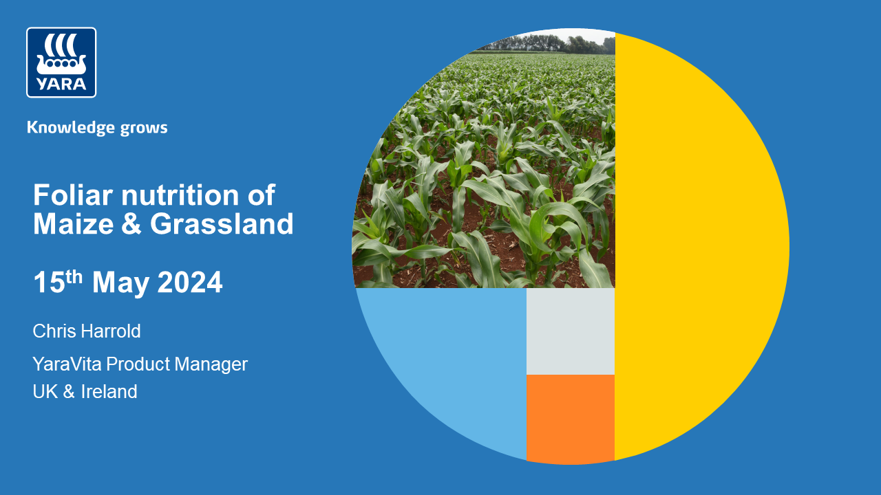 Yara webinar Maize and Grassland thumbnail 