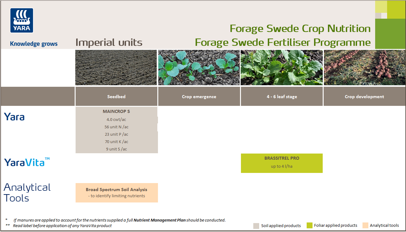 Forage swede fertiliser programme