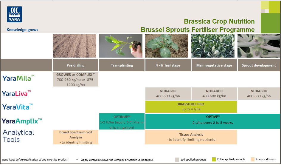 Brussel sprouts fertiliser programme