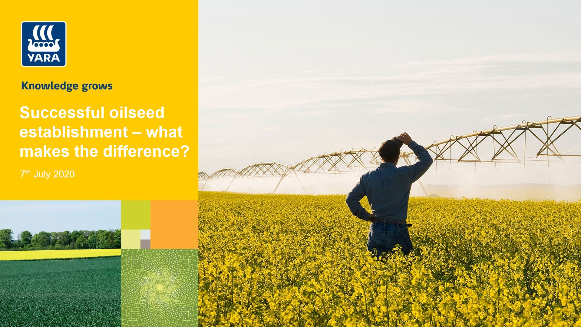 Oilseed webinar - Successful oilseed establishment - what makes the difference