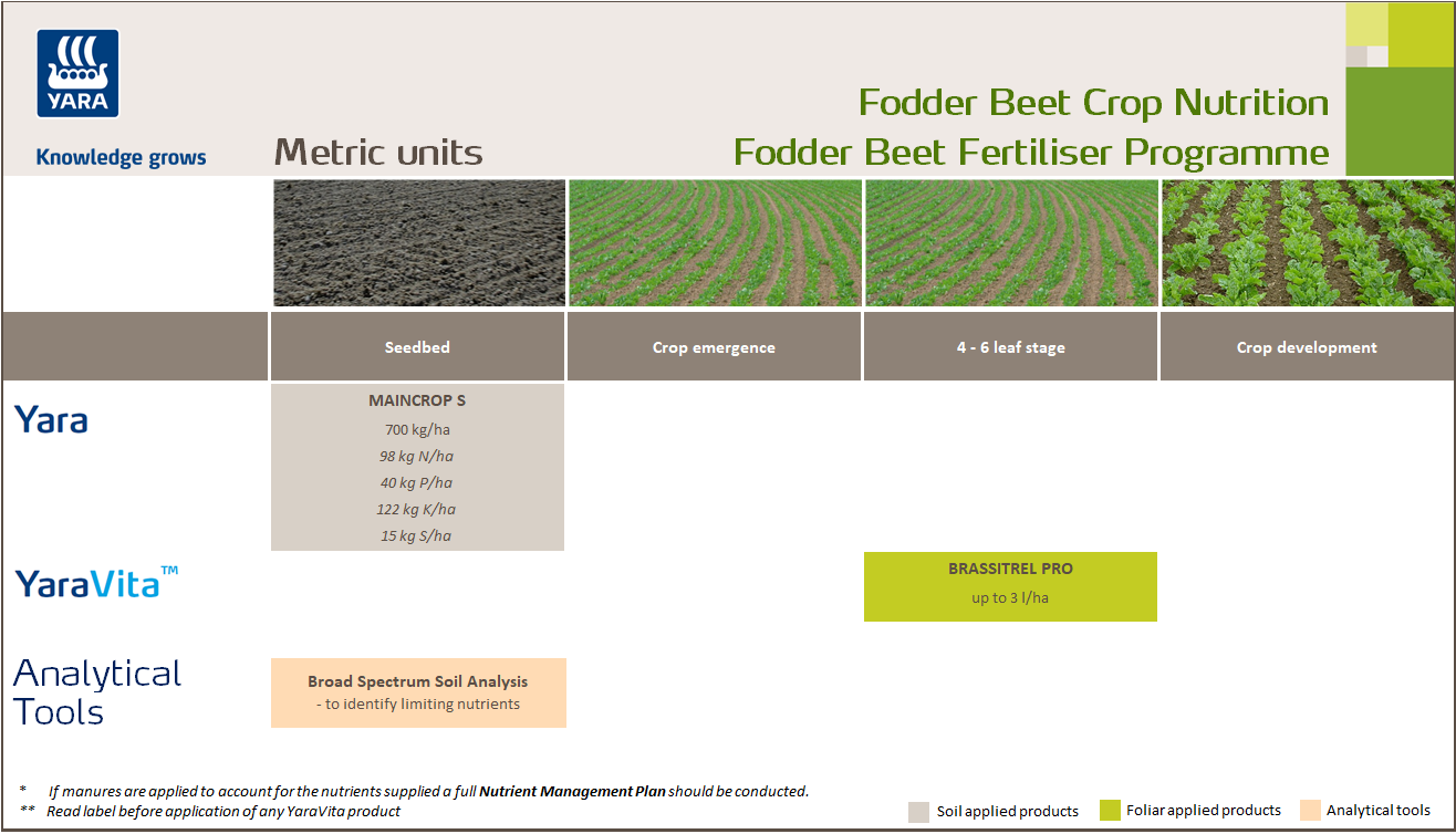 Fodder beet fertiliser programme