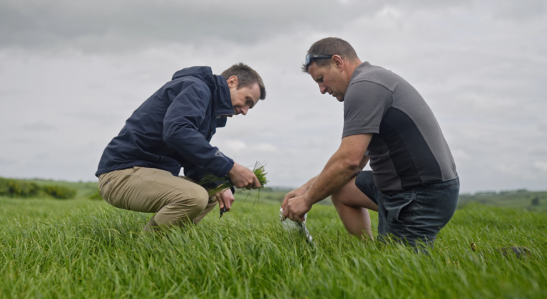 Yara Agronomist Philip Garland checking the grass with another farmer 