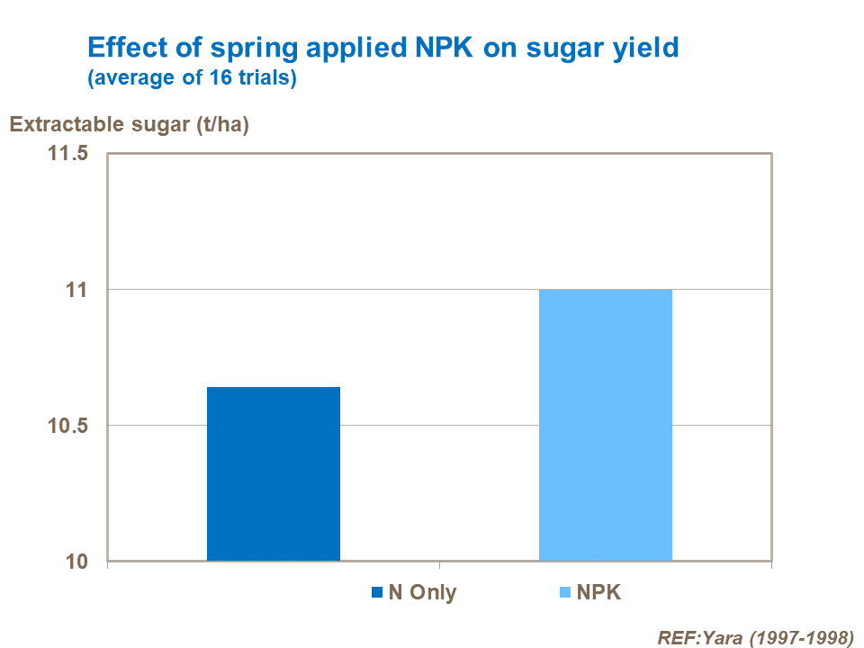 Effect of spring applied fertiliser on sugar beet yield