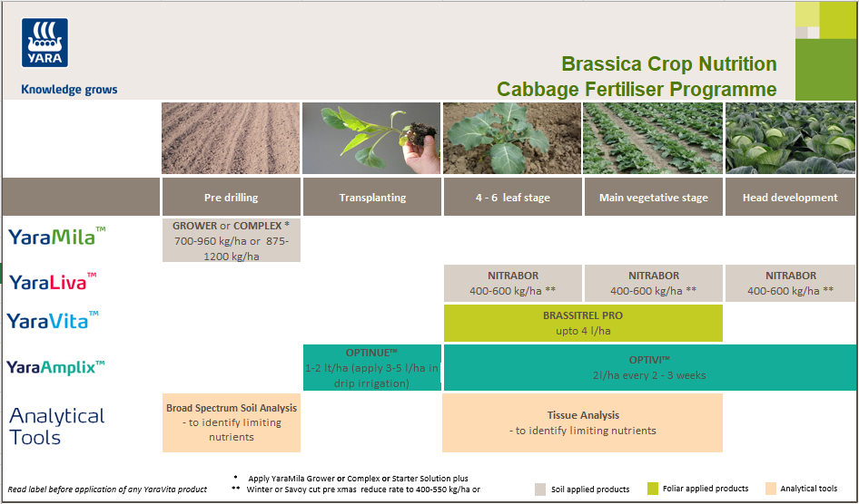 Yara Cabbage Crop Programme