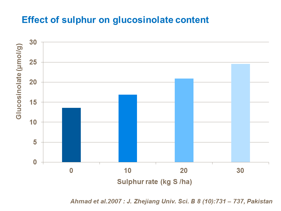 Effect of sulphur on glucosinolate content