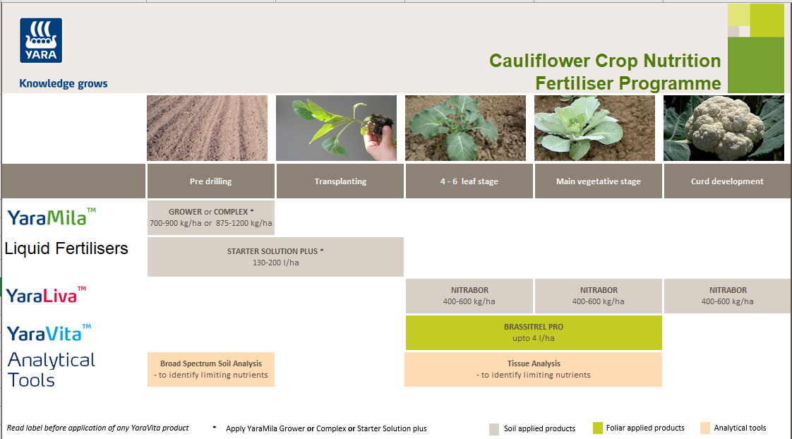 Cauliflower crop nutrition programme