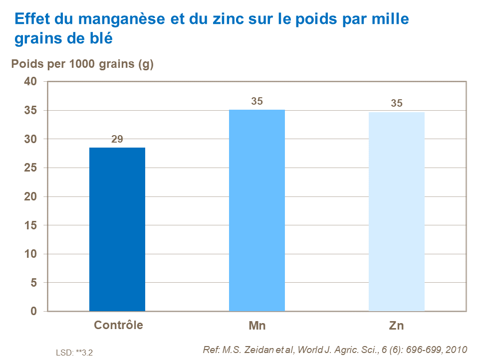 FR - effect of Mn an Zn on 1000 grain weight.png