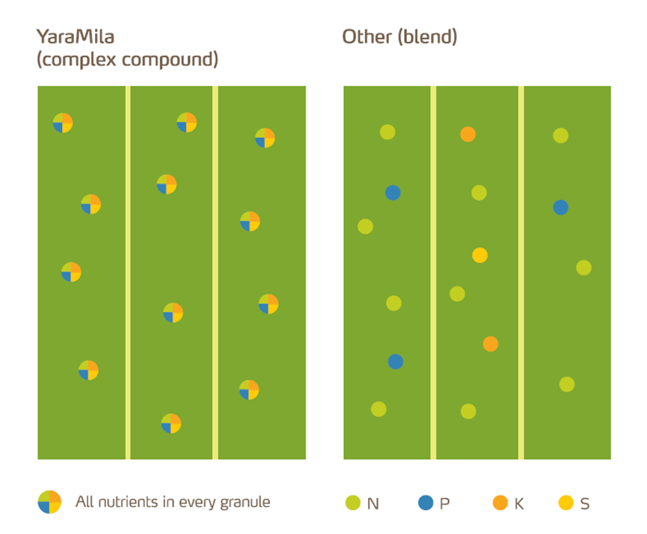 Graph of  aYaraMila Complex comparison to other blends