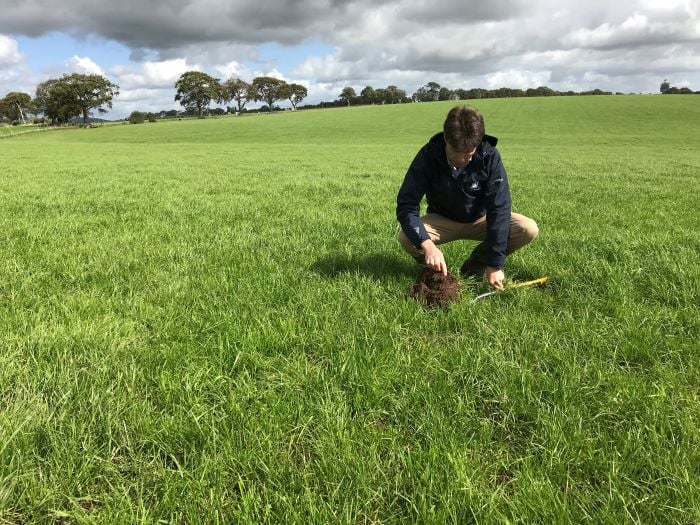 Agronomist in a field gathering a soil sample