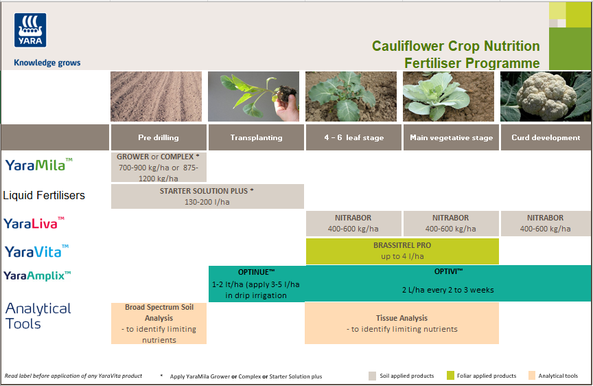 Cauliflower fertiliser programme