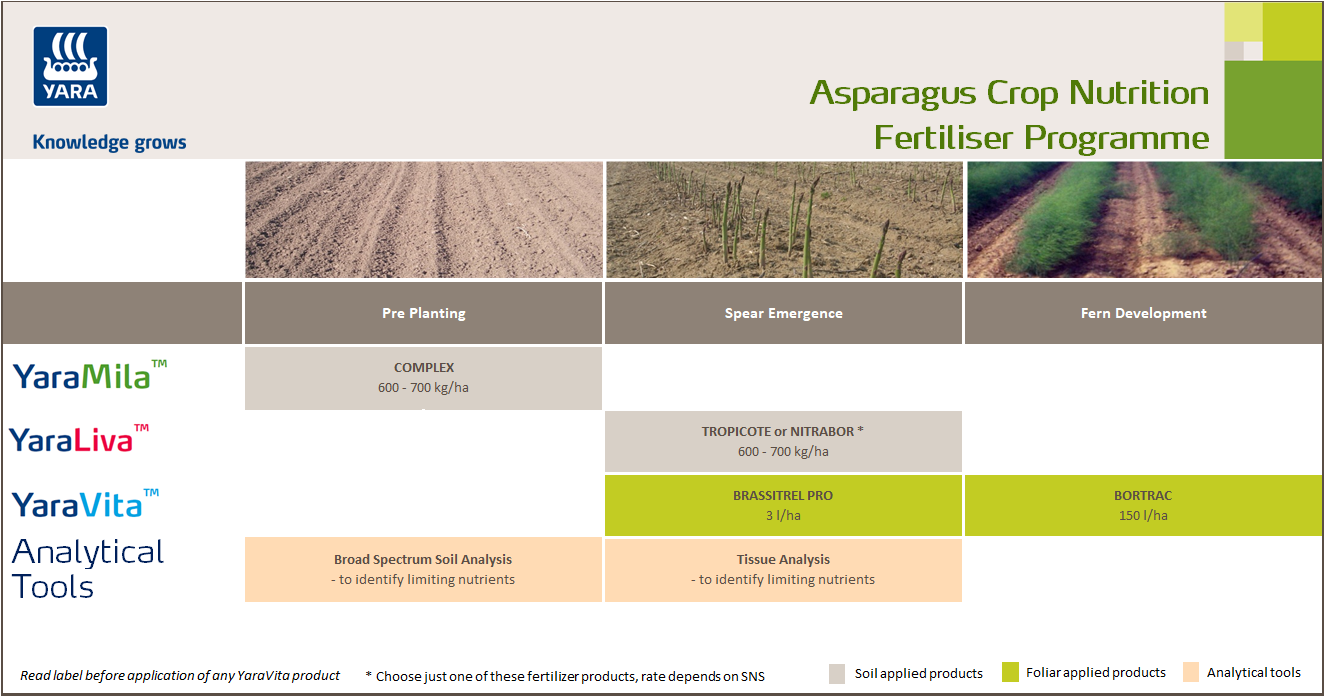 Asparagus crop programme