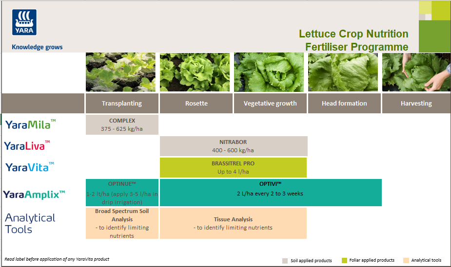 Lettuce crop nutrition programme