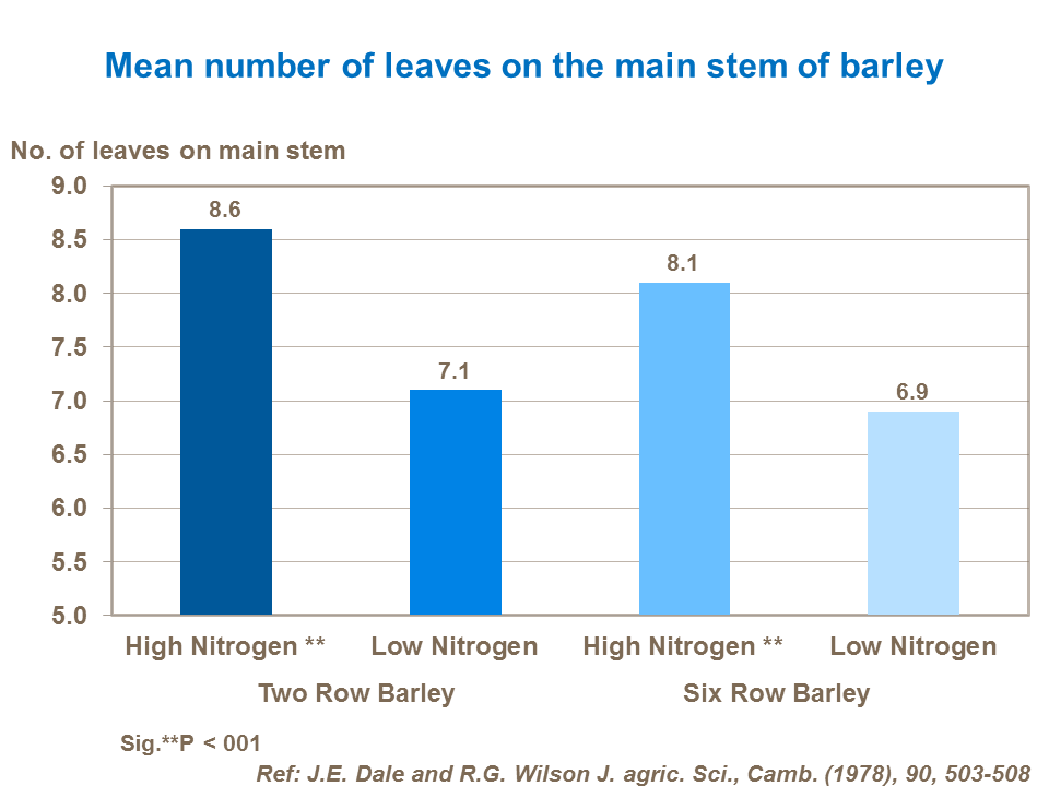 Mean number of leaves on the main stem of barley