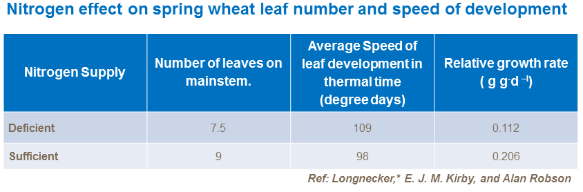 Nitrogen effect on spring wheat leaf number and speed of development