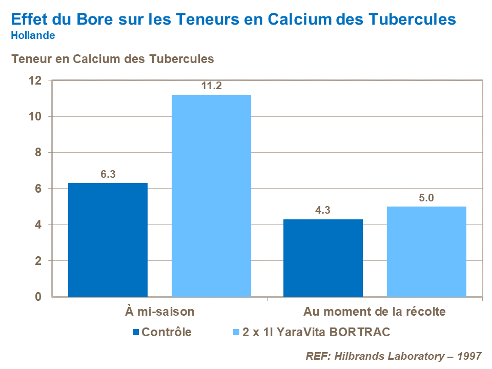 FR-effect of B on tuber Ca.png