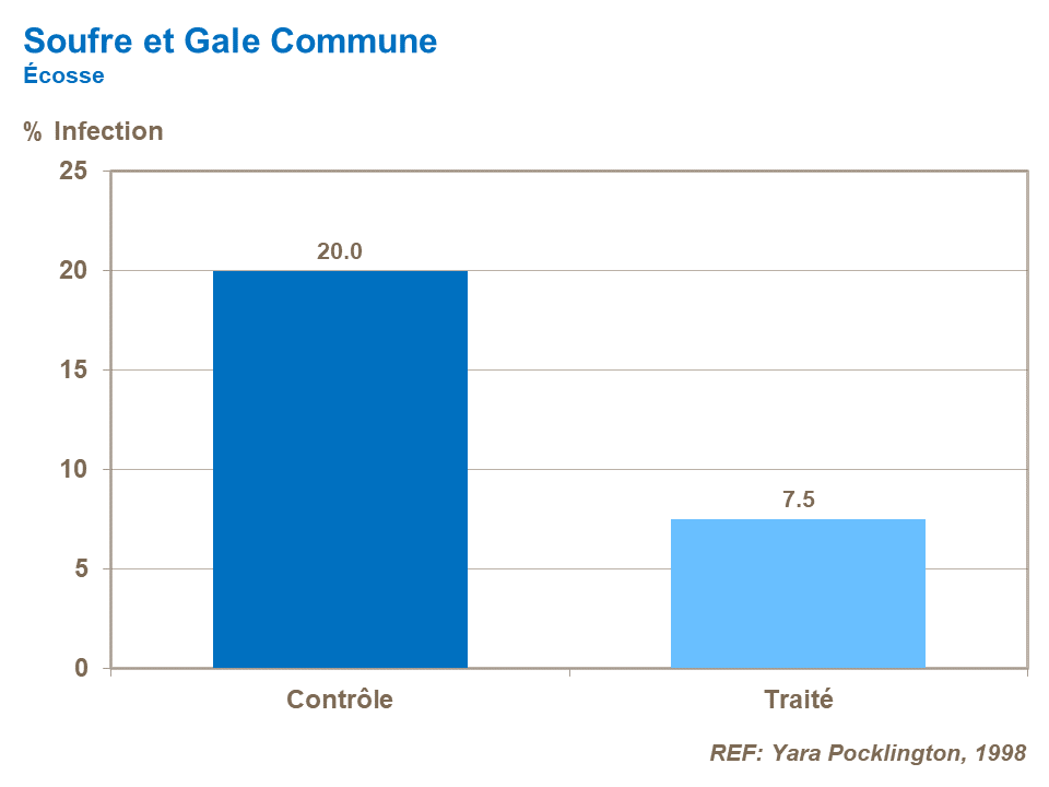 FR-skin finish_sulphur and common scab.png