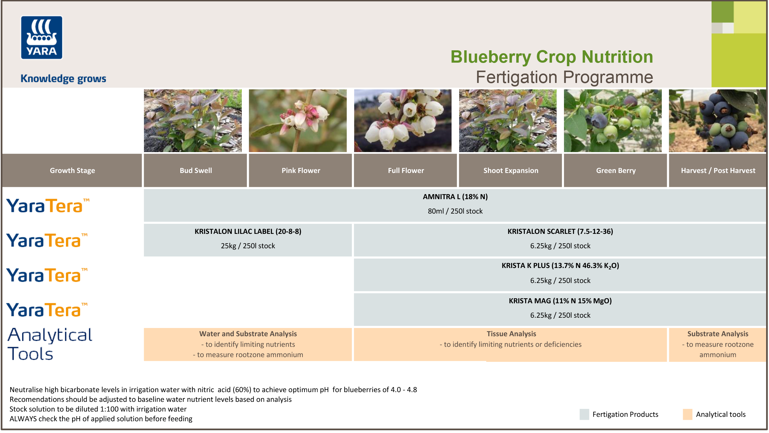 Blueberries fertigation programme