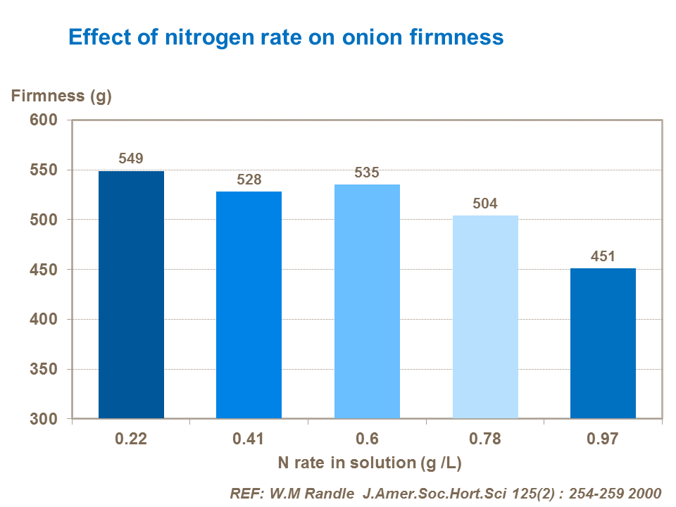 Effect of nitrogen rate on onion firmness