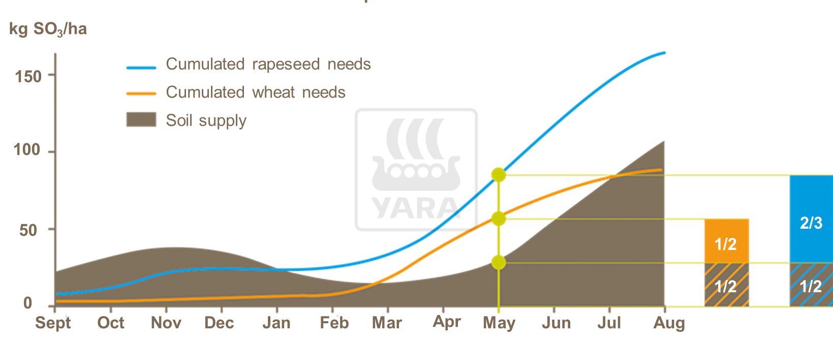 Sulphur requirements for oilseed rape and wheat