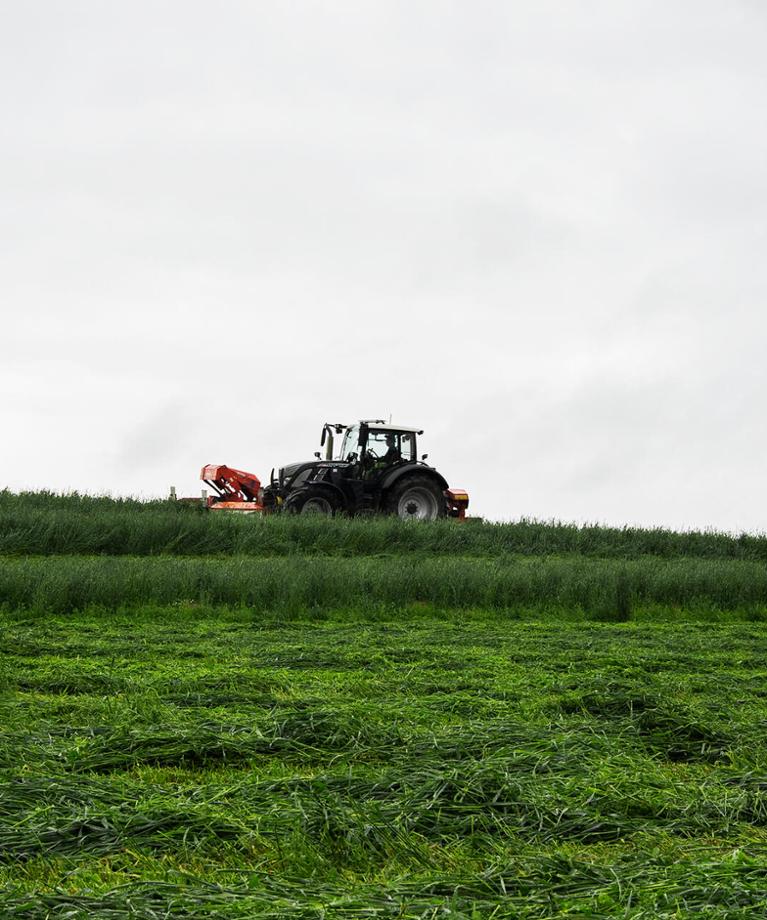 YaraMila Sulphur Cut