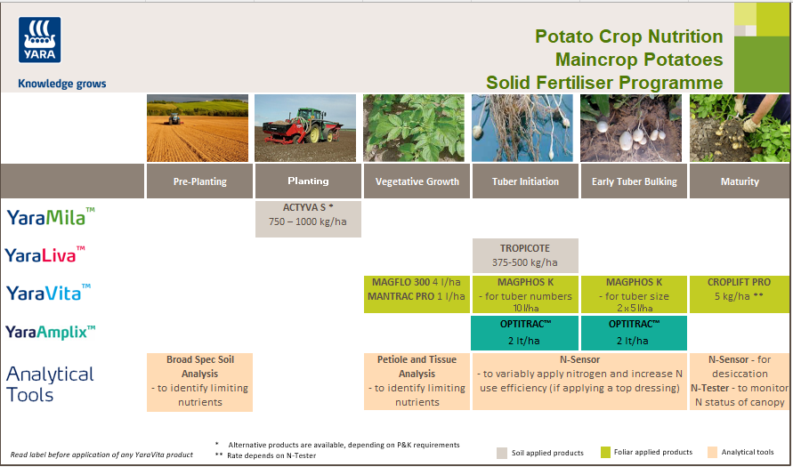 Maincrop potato fertiliser programme
