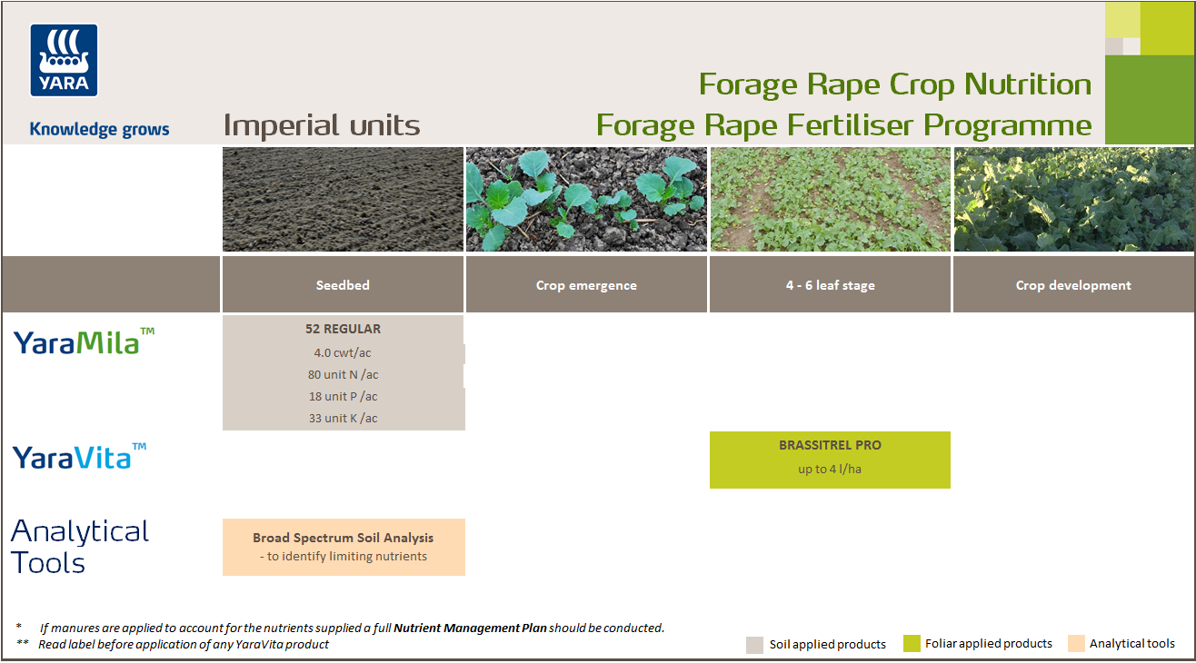 Forage rape fertiliser programme