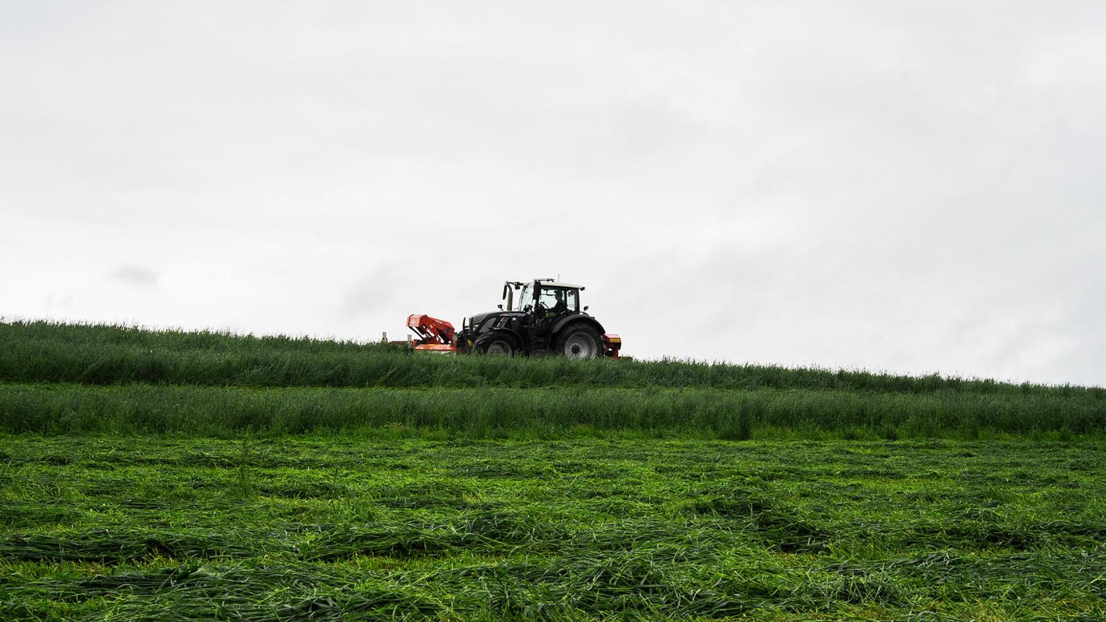 YaraMila Sulphur Cut