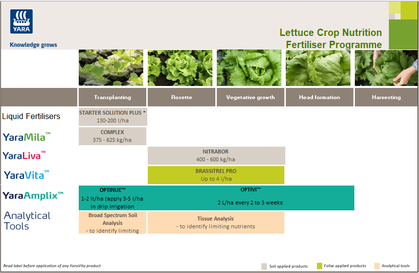 Lettuce crop nutrition programme