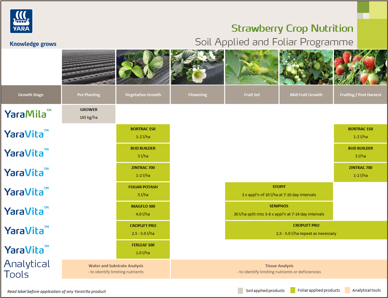 Strawberries solid fertiliser and foliar nutrition programme