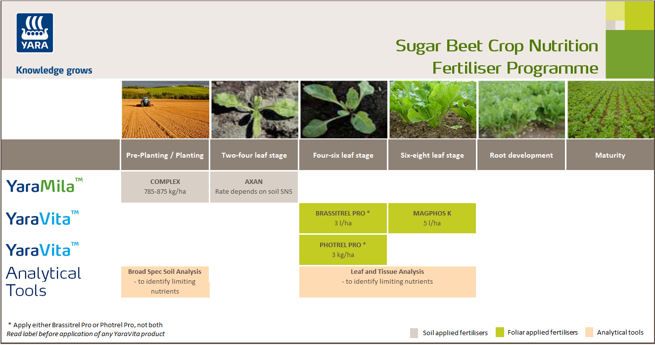 Sugar-beet fertiliser programme